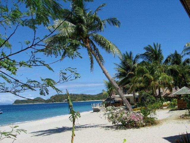 El Canonero Diving Beach Resort Puerto Galera Dış mekan fotoğraf